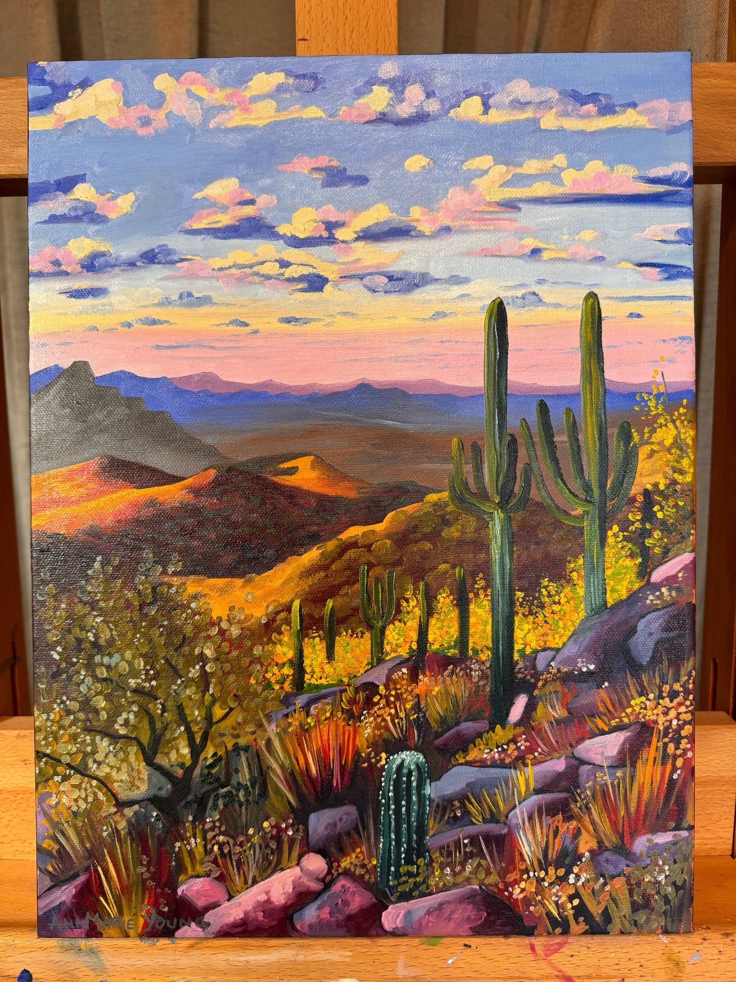 ORIGINAL "Camelback Views" 12 x 16