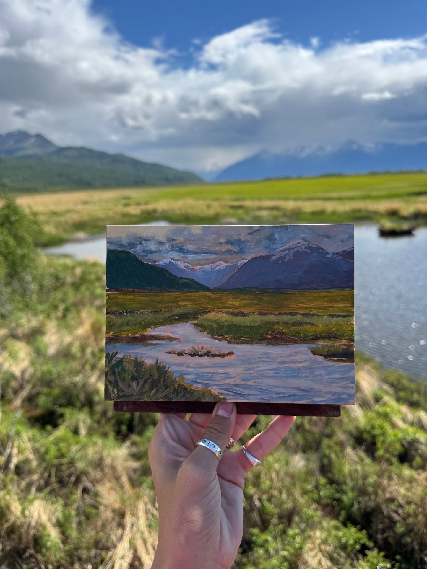 ORIGINAL Potter's Marsh Plein Air Study 5x7 in