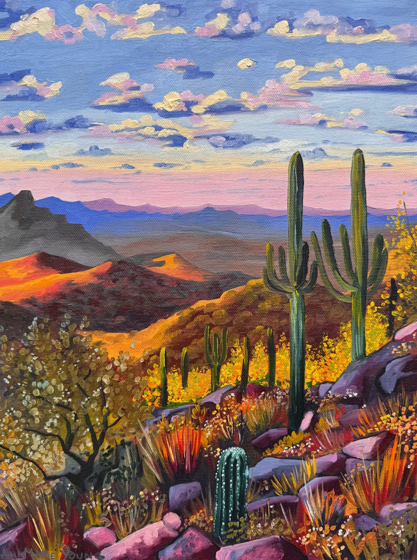 ORIGINAL "Camelback Views" 12 x 16