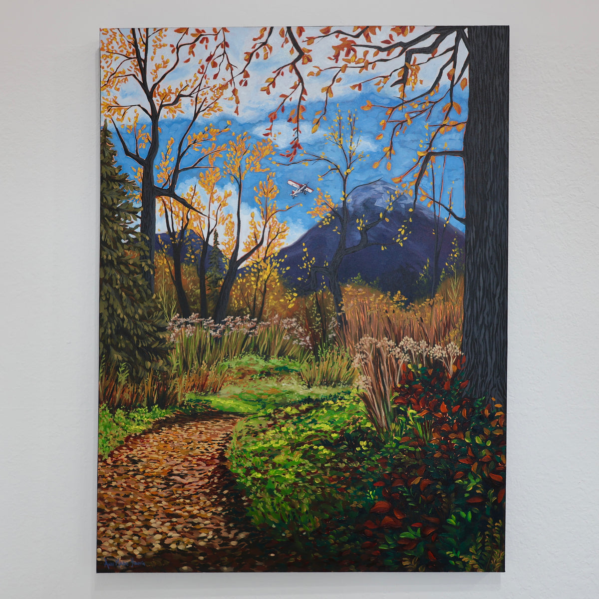 ORIGINAL "Fly Over" 30x40 in
