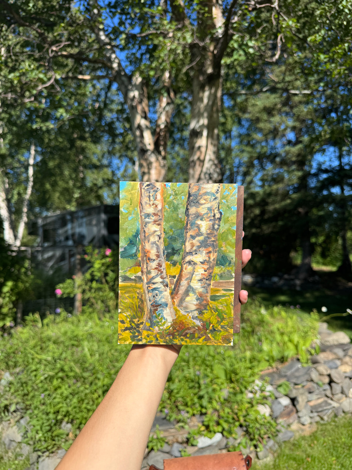 ORIGINAL Birch Bark Plein Air Study 5x7 in