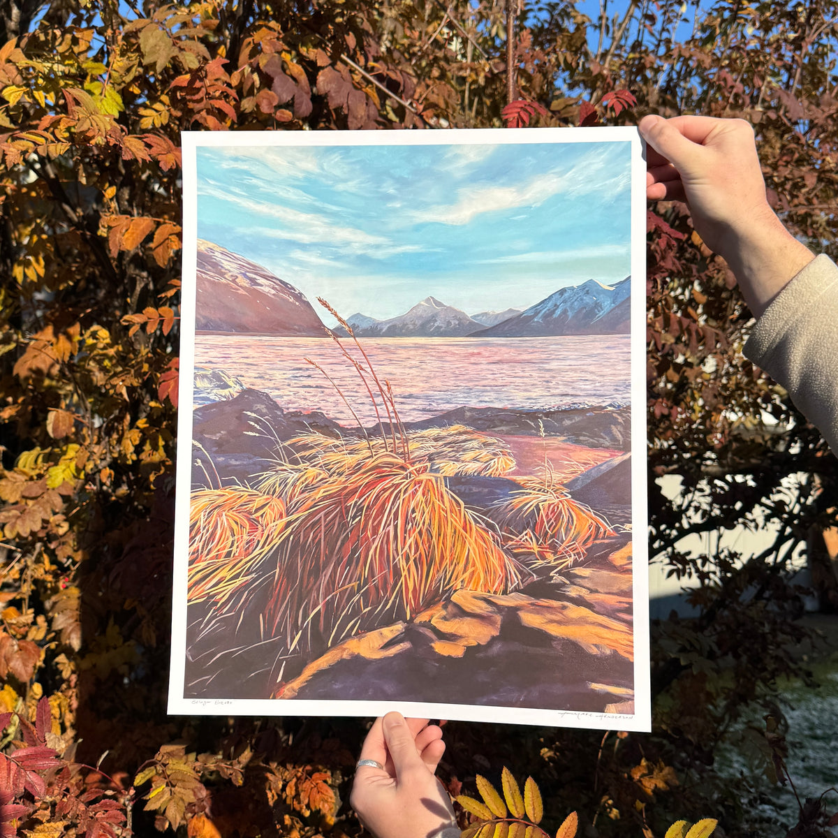 "Beluga Breeze" Print