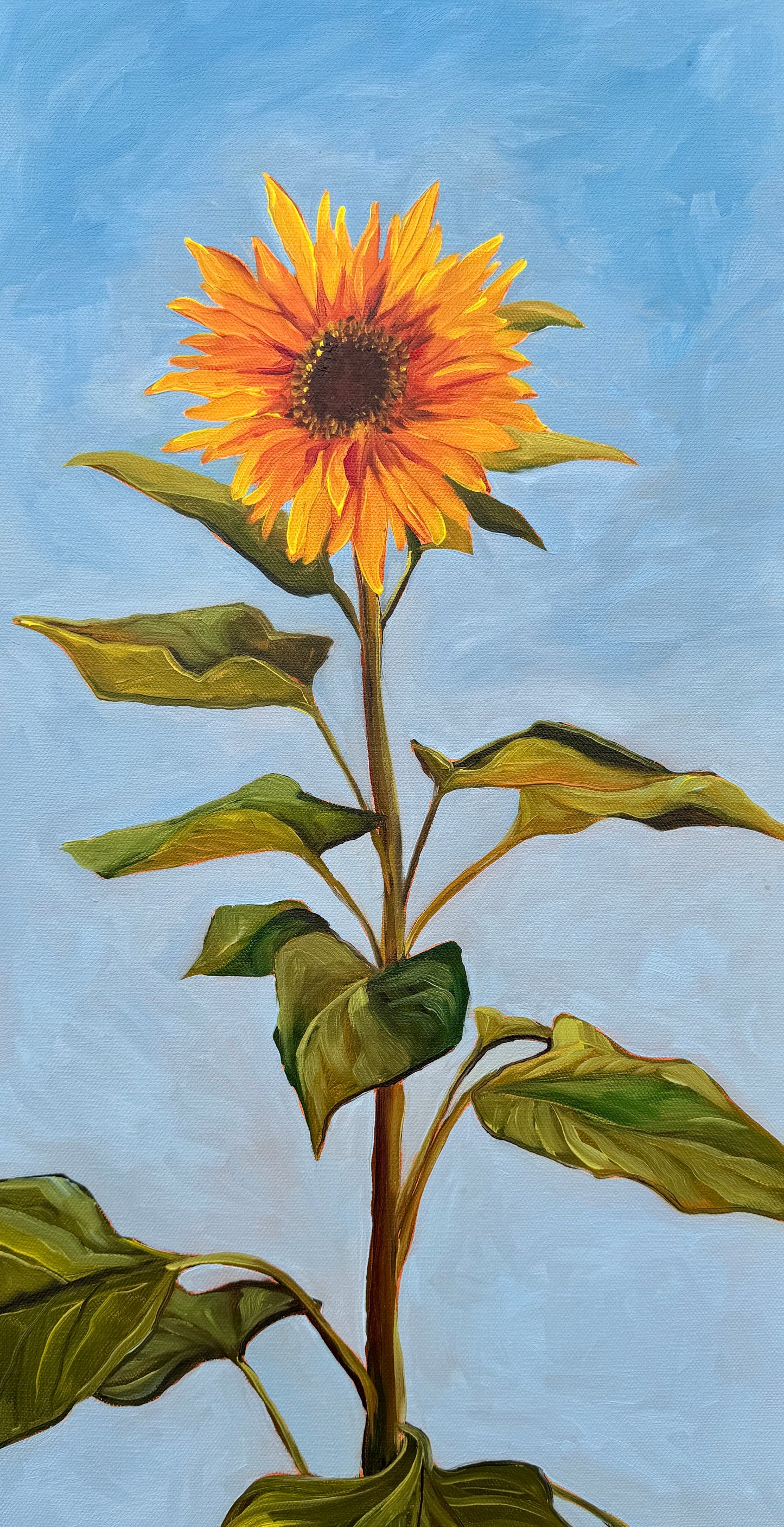 ORIGINAL "Sunflower" 12x24 in