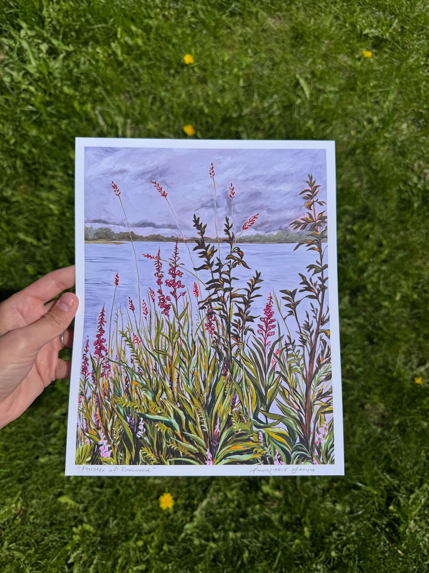 "Fluster of Fireweed" Print