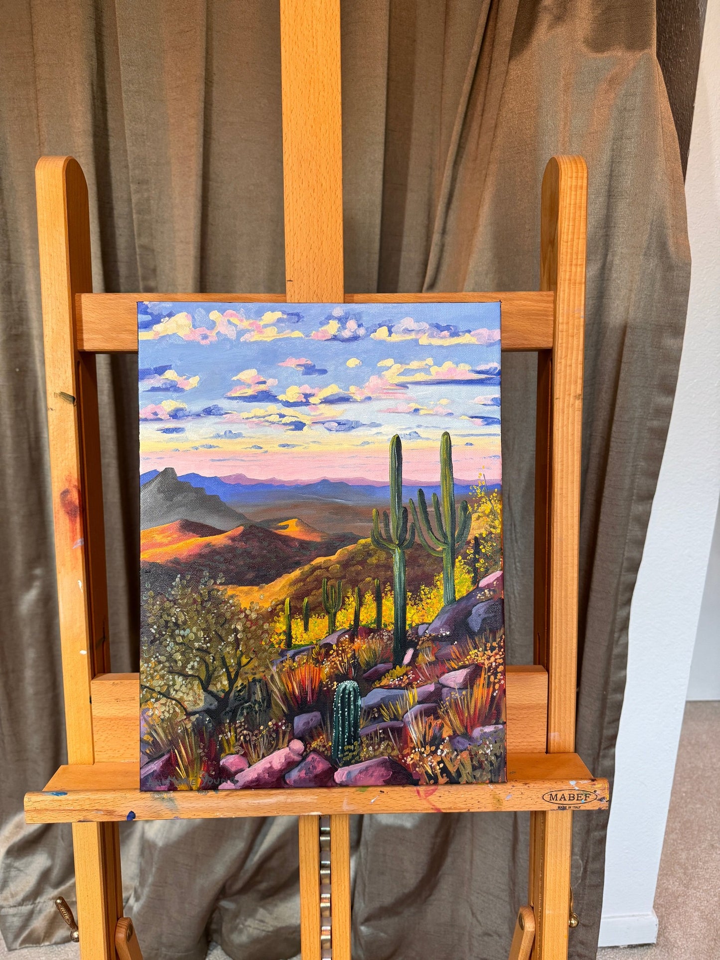ORIGINAL "Camelback Views" 12 x 16