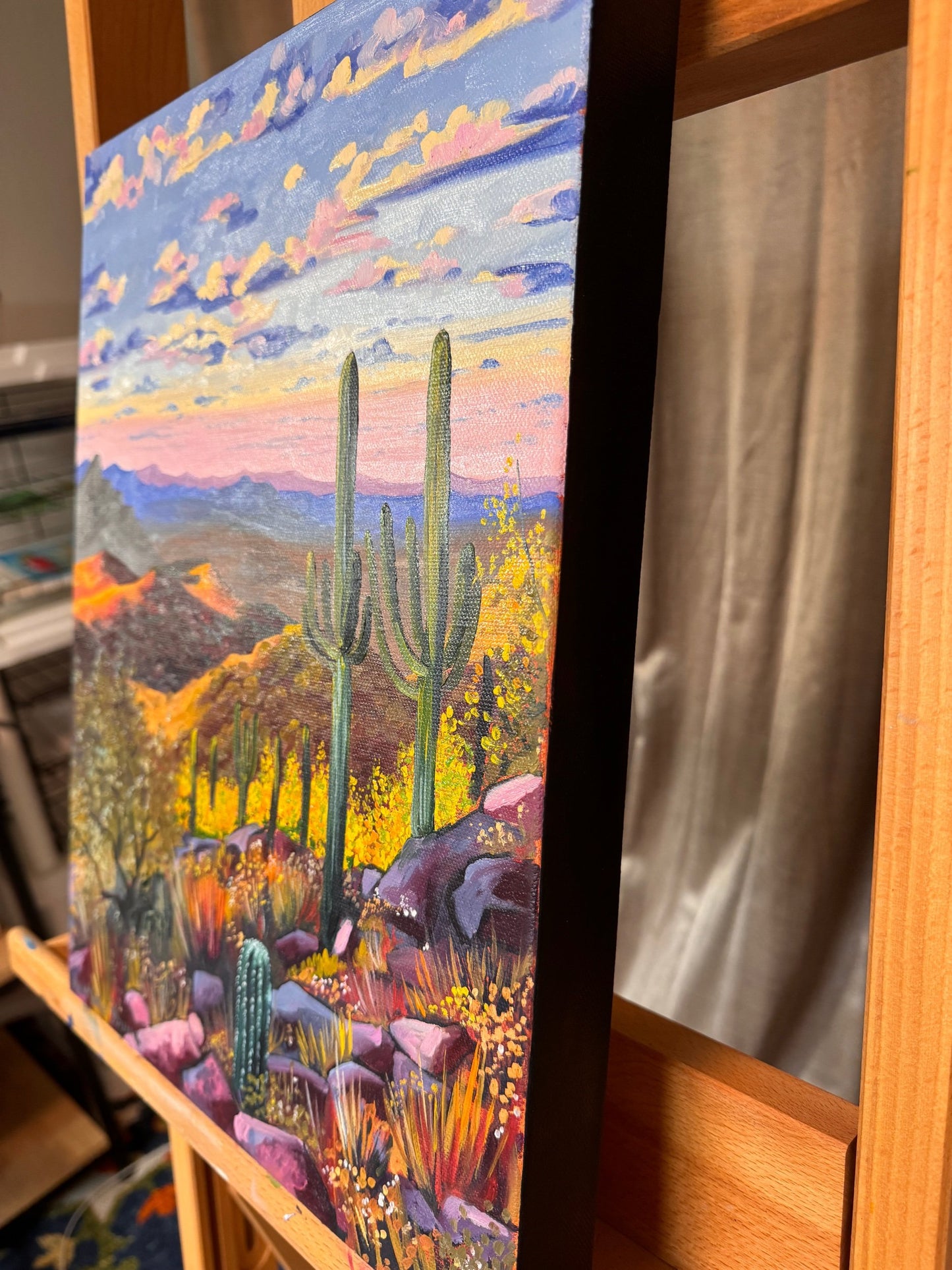 ORIGINAL "Camelback Views" 12 x 16