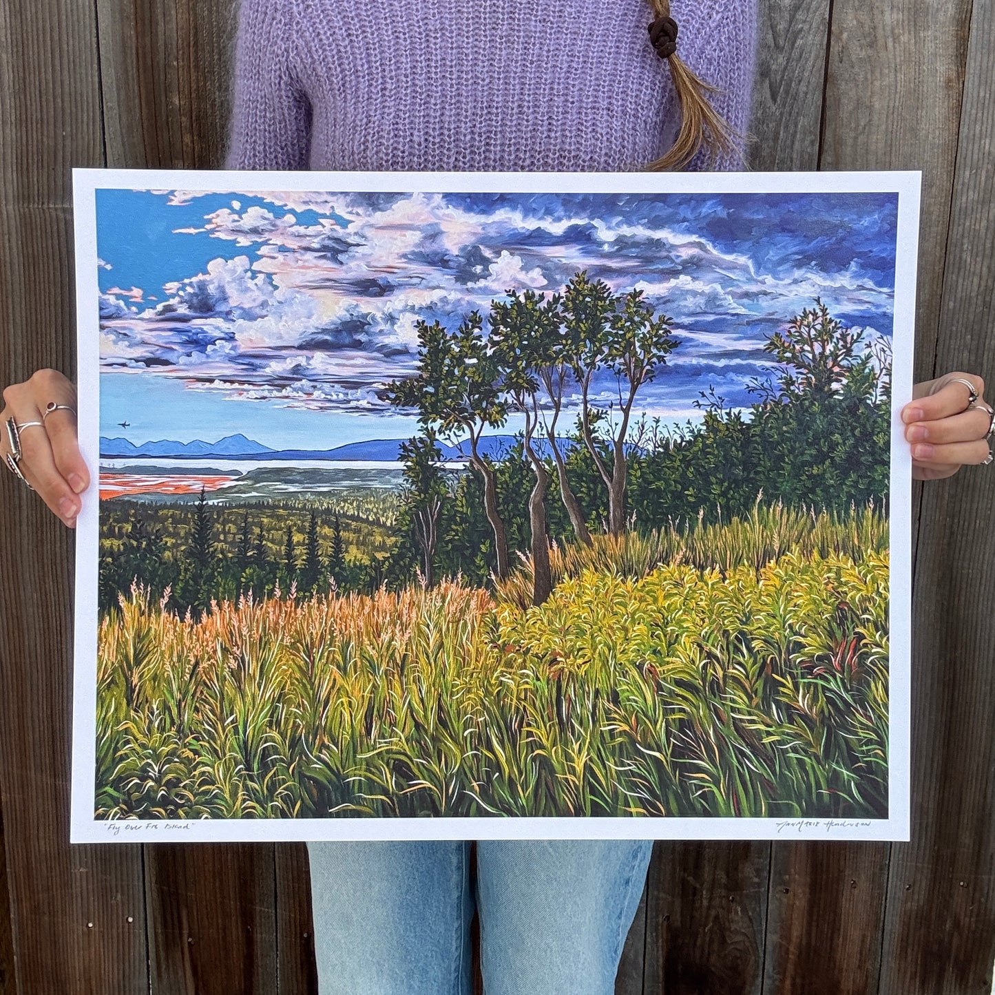 "Fly Over Fire Island" Print