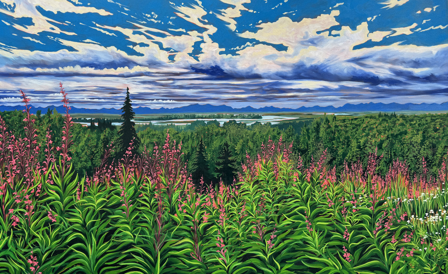"Where the fireweed grows" Canvas Print
