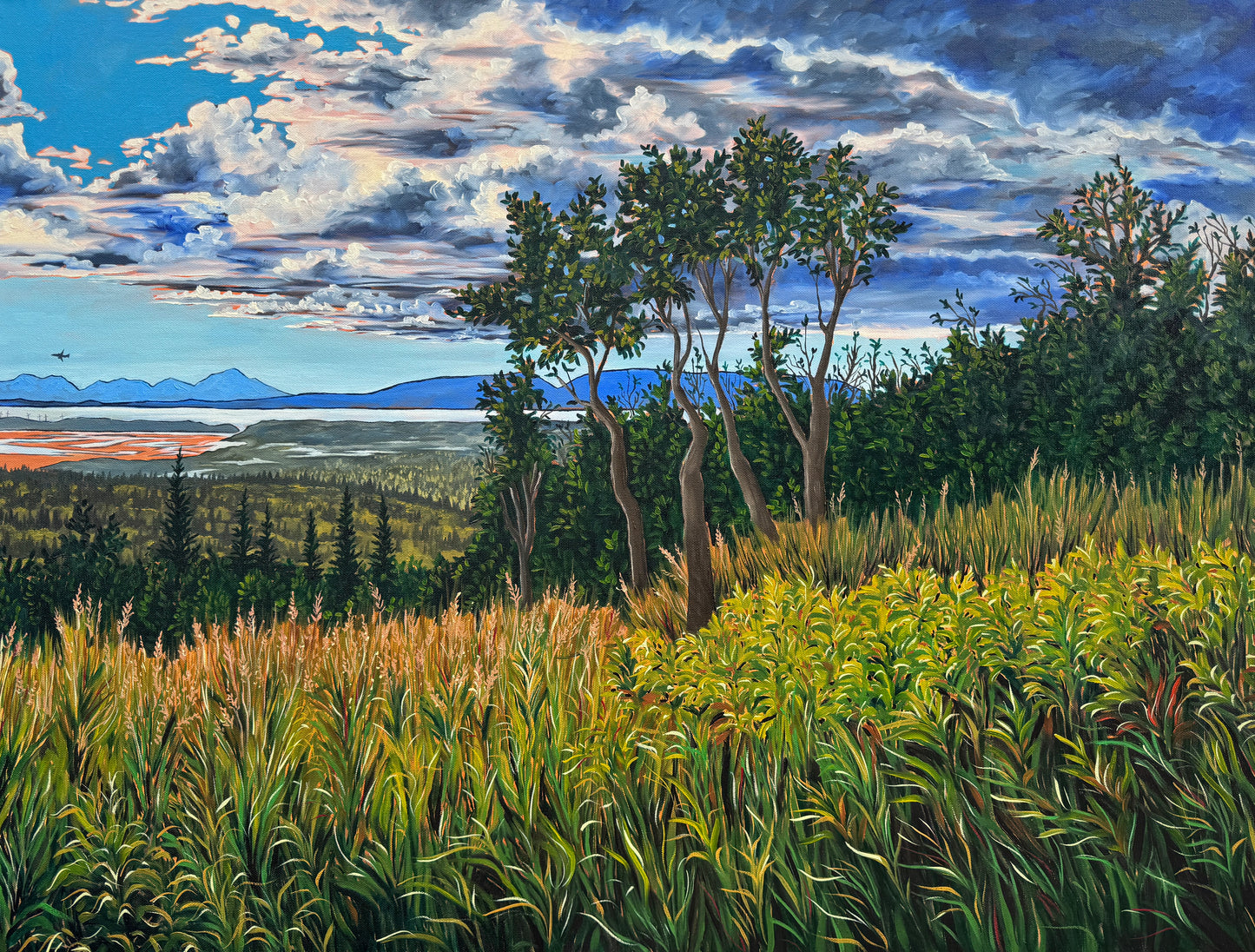 "Fly Over Fire Island" Print