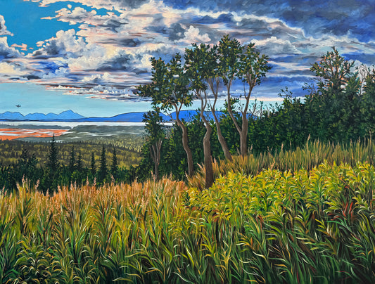 "Fly Over Fire Island" Print