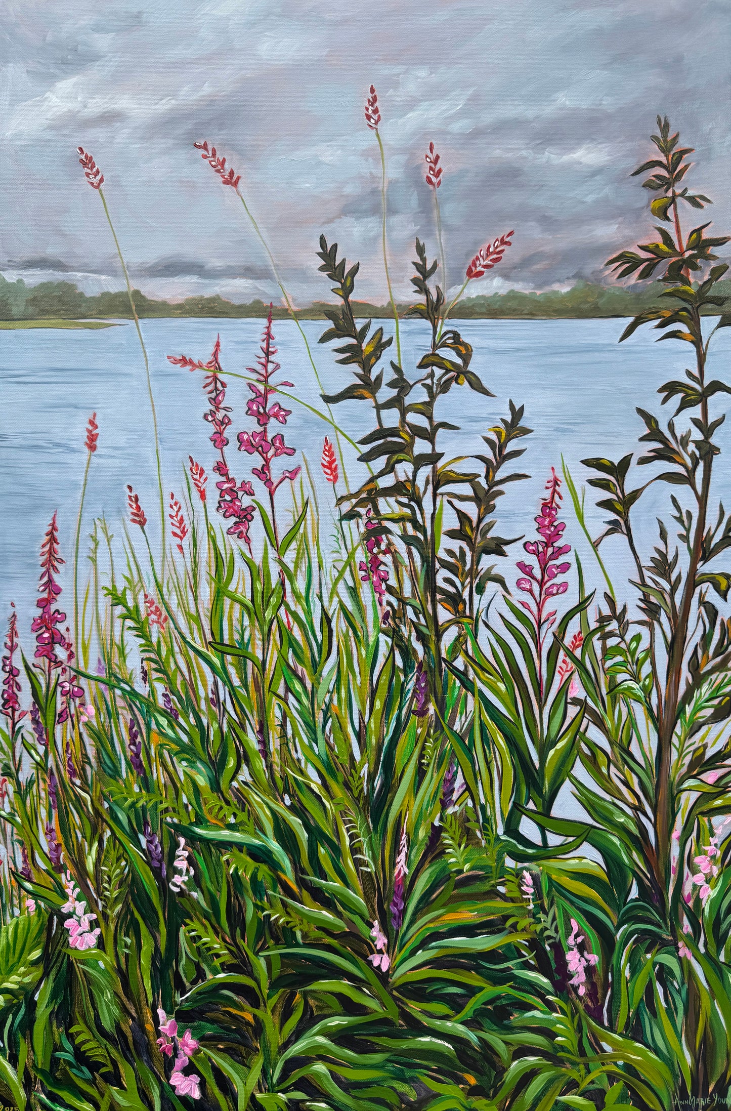 "Fluster of Fireweed" Print