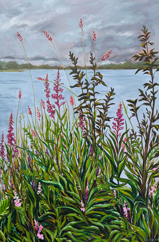 "Fluster of Fireweed" Print