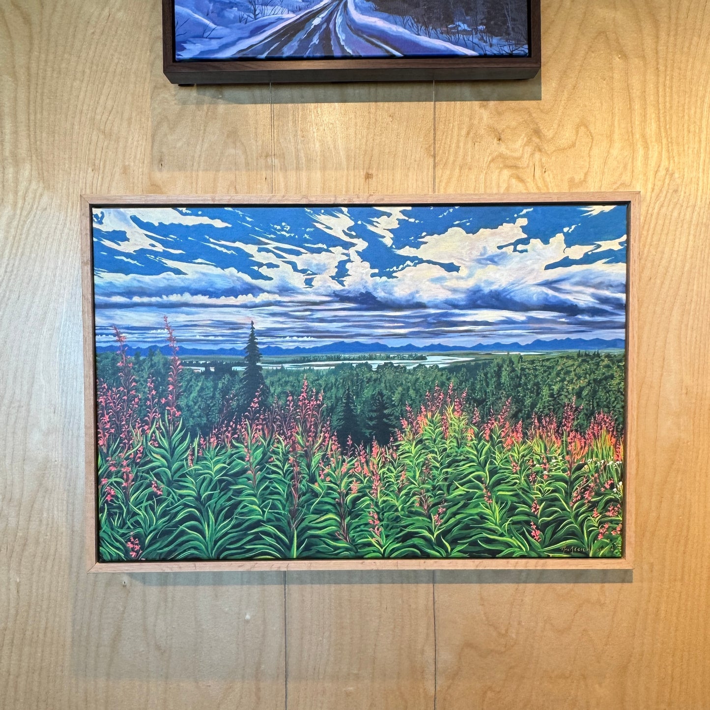 "Where the fireweed grows" Canvas Print