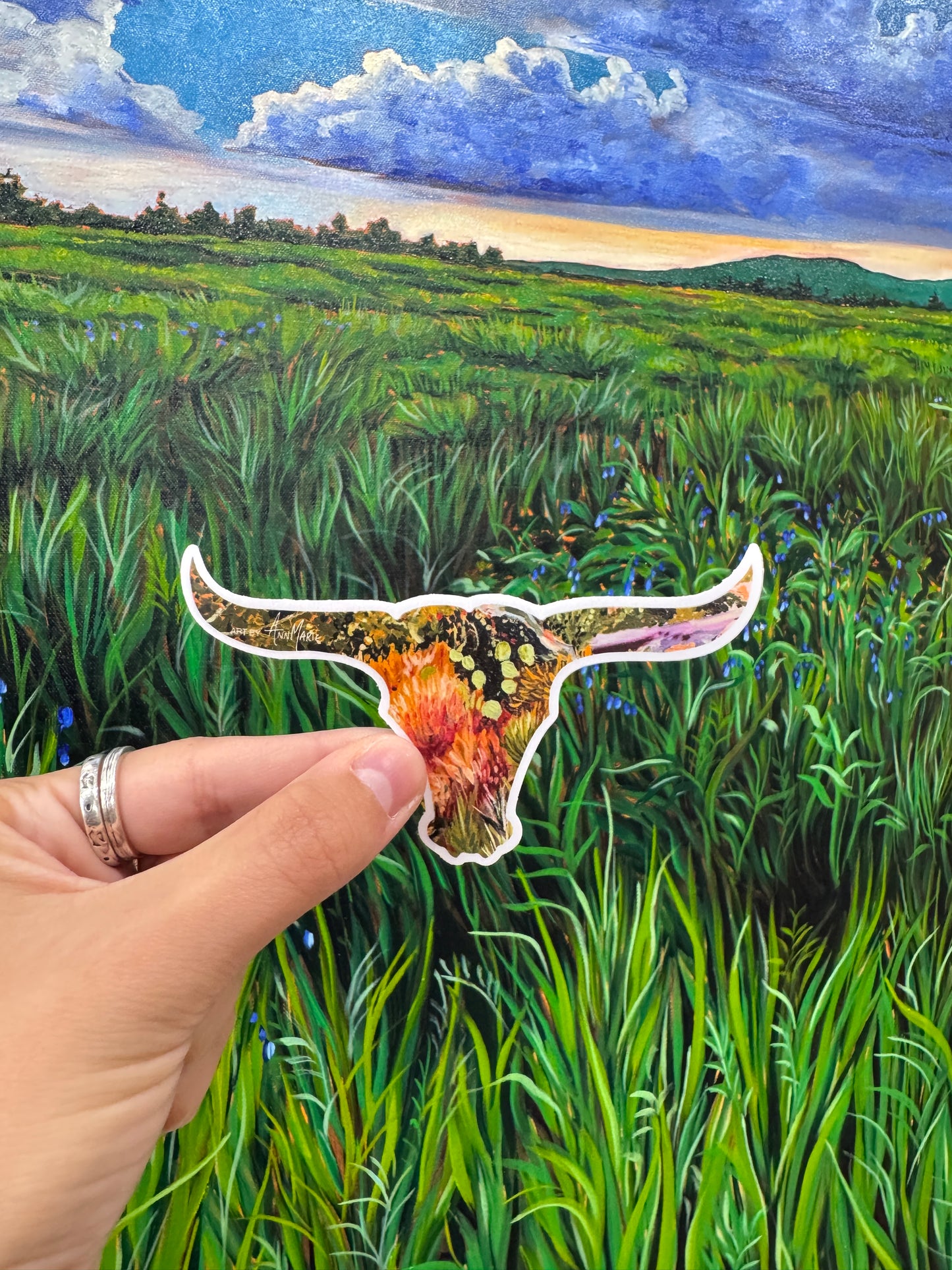 Texas Stickers - Pack of 5