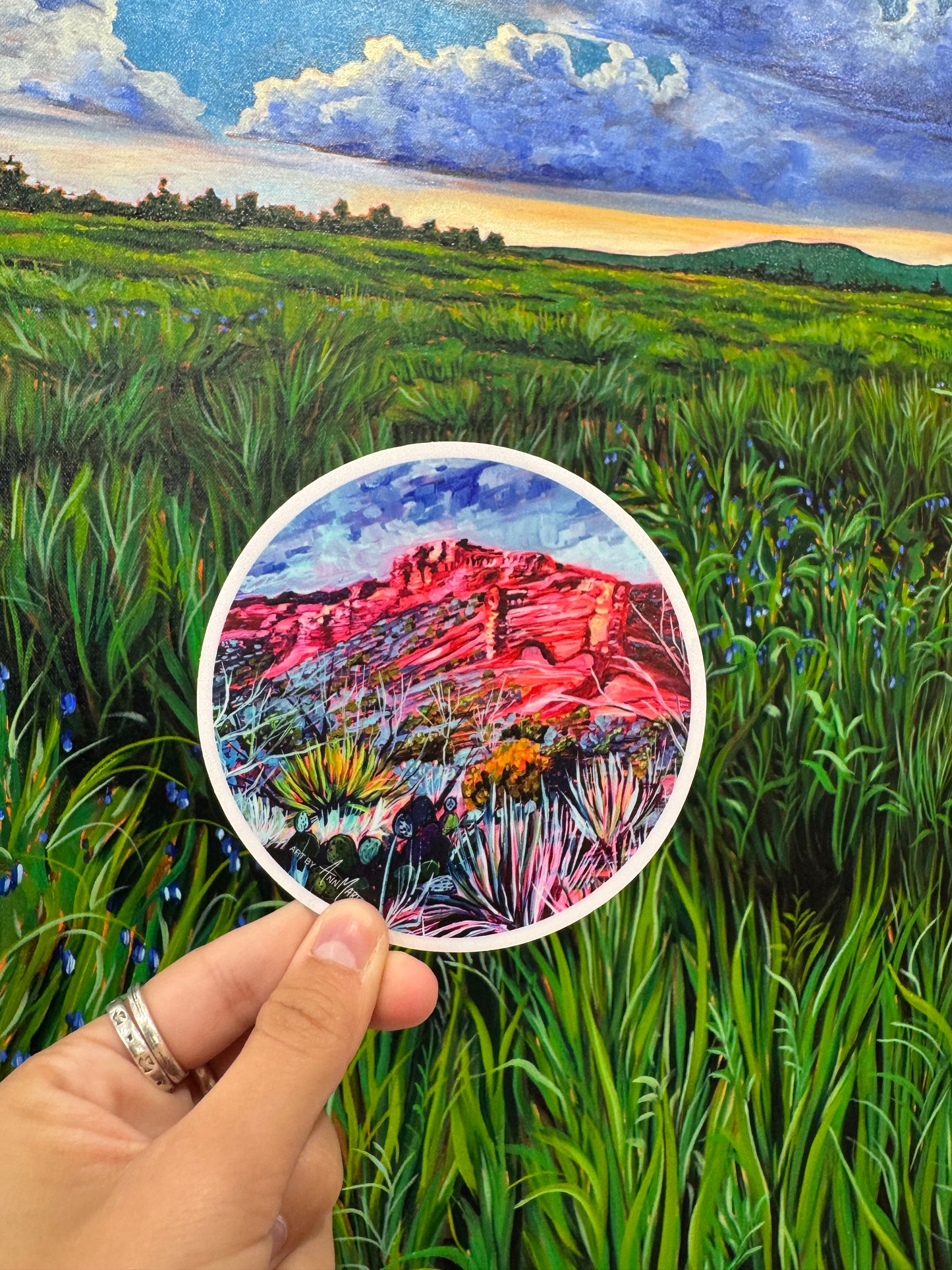 Texas Stickers - Pack of 5