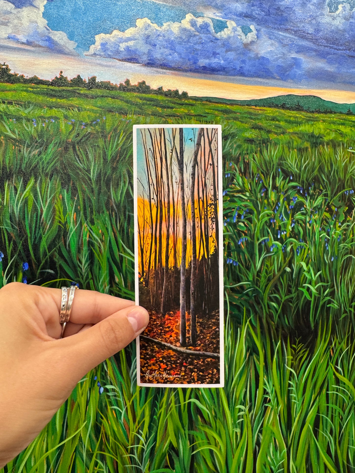 Alaska Stickers - Pack of 6