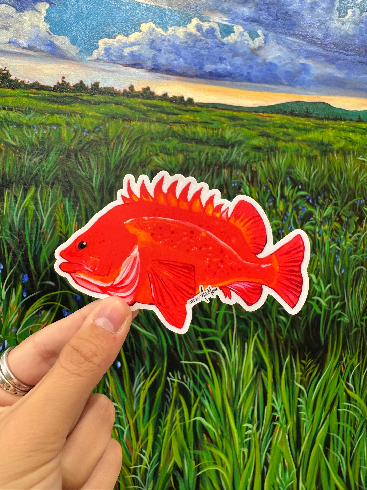 FISH Stickers - Pack of 5