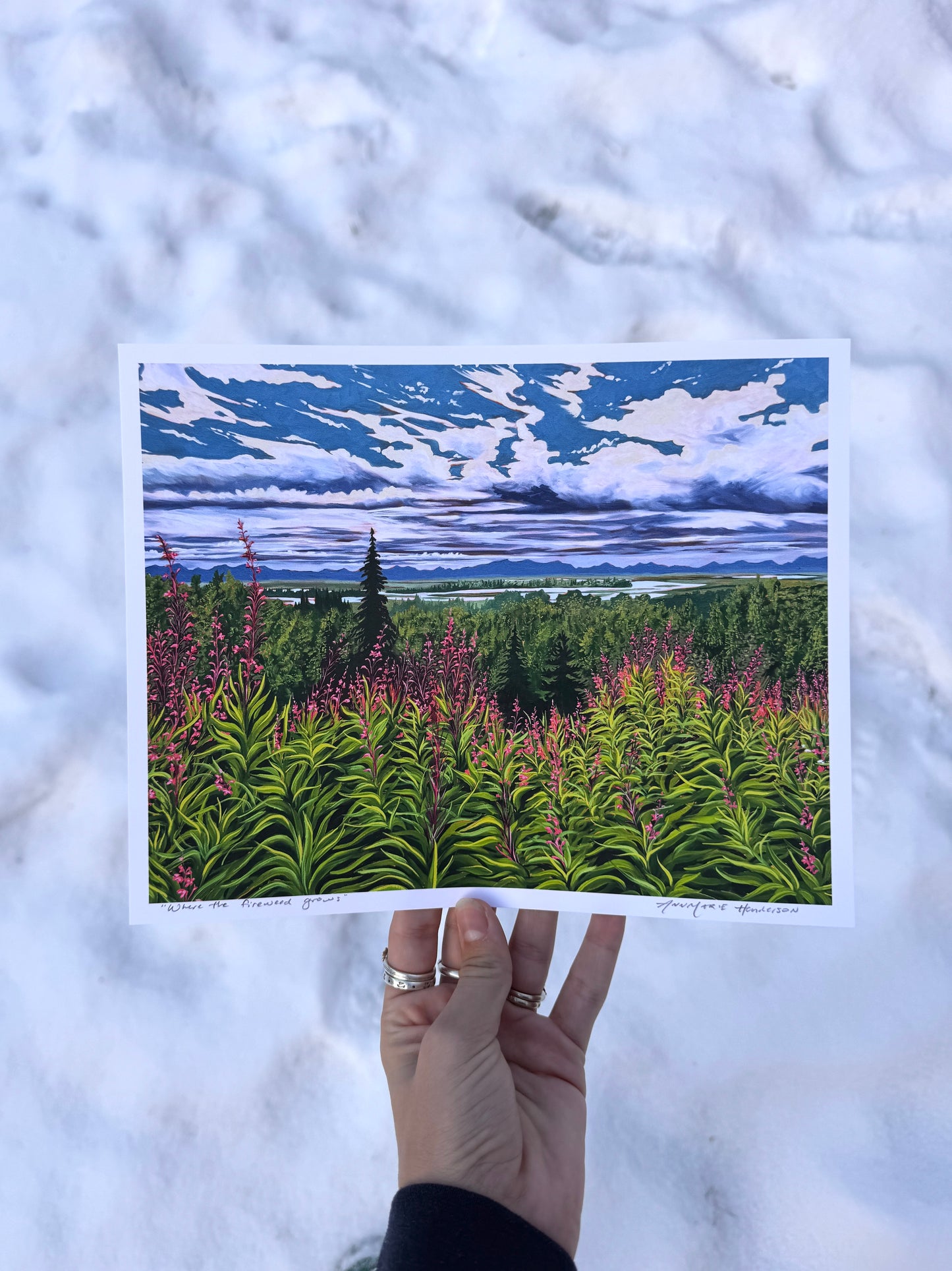 "Where the fireweed grows" Print