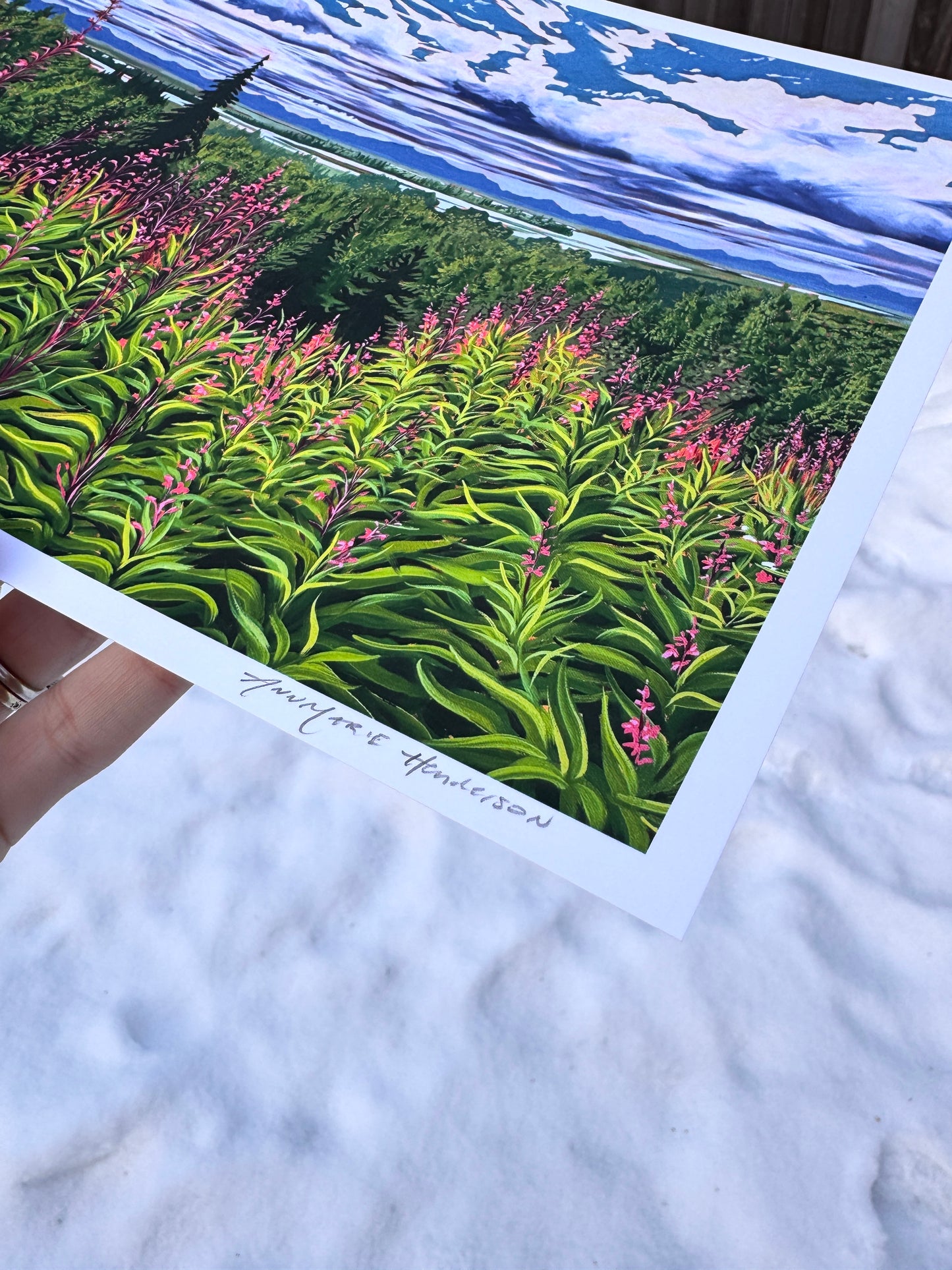 "Where the fireweed grows" Print